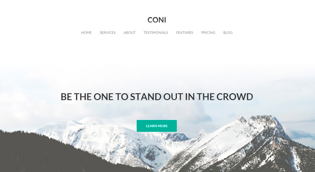 Coni: многоцелевая чистая тема WordPress