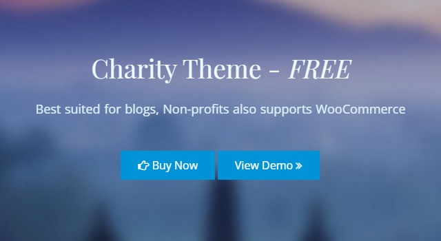 Благотворительность: шаблоны WordPress для некоммерческих организаций