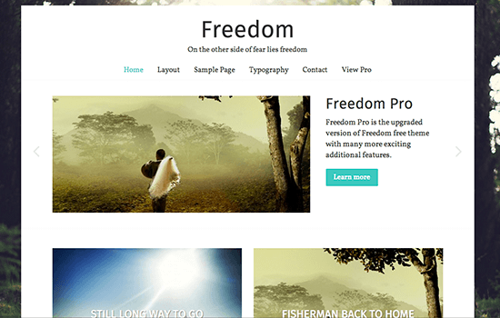 Freedom: адаптивная тема для фотоблогов
