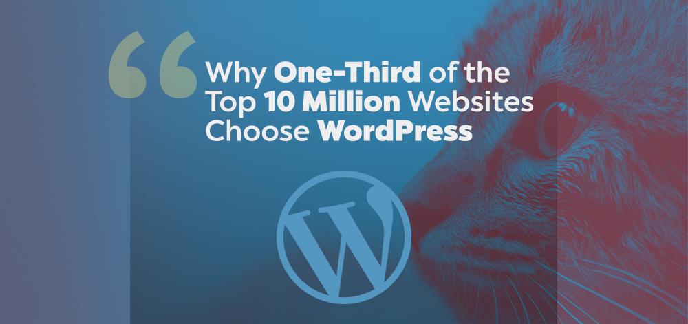 Почему треть из 10 миллионов лучших веб-сайтов выбирают WordPress?