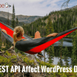 Как REST API повлияет на разработчиков WordPress?