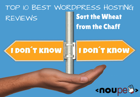 Топ 10 лучших обзоров хостинга WordPress Сортировать пшеницу от плевел